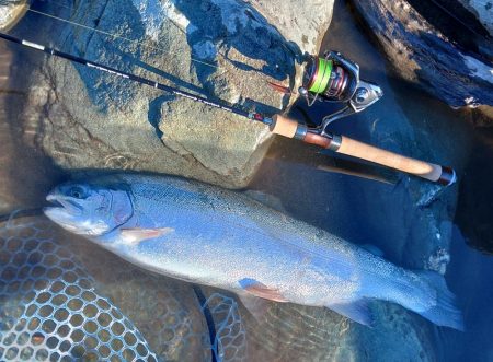 厳しいぞ ～天竜川ルアーフライ専用区～
